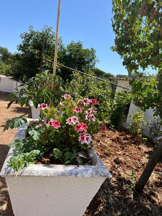 チェーリエ・メッサーピカ Trullo Antelmiヴィラ エクステリア 写真